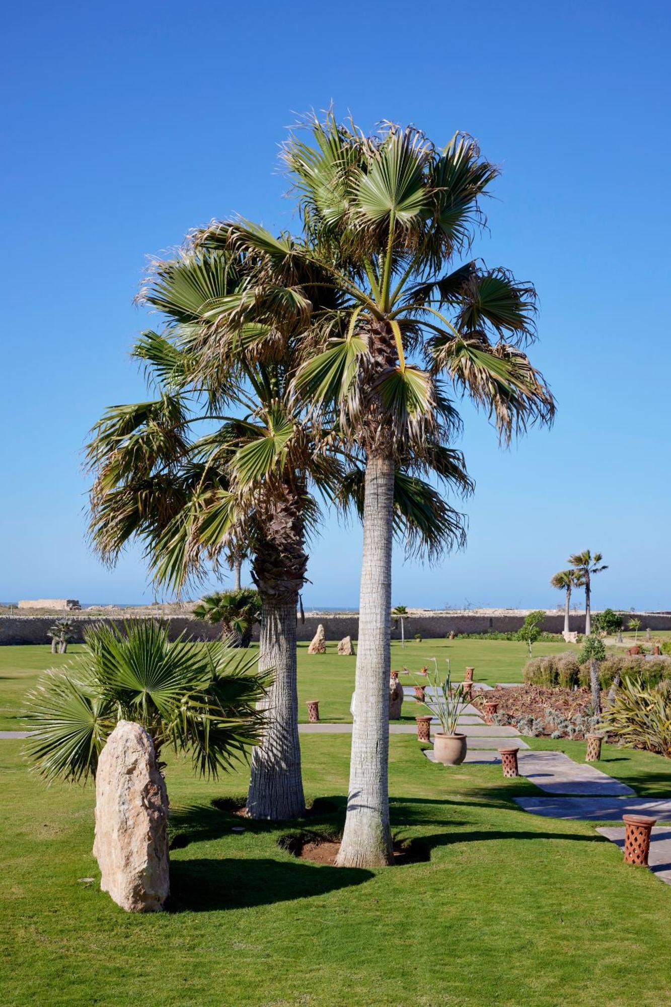 Baberrih Hotel Hospitality Palaces & Resorts Suvayr Dış mekan fotoğraf